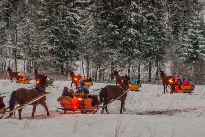 Zakopane Sleigh Ride in Tatra Mountains - The Experience in Detail