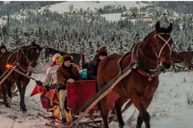 Zakopane Sleigh Ride in Tatra Mountains - The Sum Up