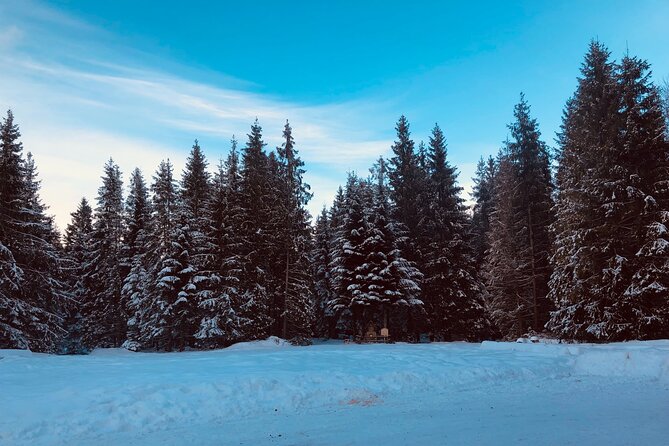 Zakopane & Sleigh Ride With Bonfire - Group Tour From Kraków - Exciting Sleigh Ride Through the Snow
