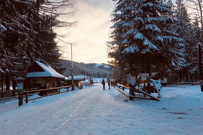 Zakopane & Sleigh Ride With Bonfire - Group Tour From Kraków - Cozy Bonfire and Traditional Polish Cuisine