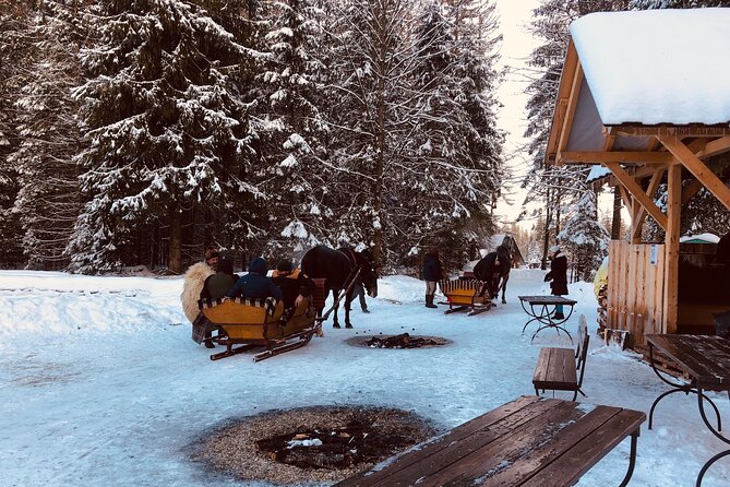 Zakopane & Sleigh Ride With Bonfire - Group Tour From Kraków - Highlights of the Scenic Day Trip