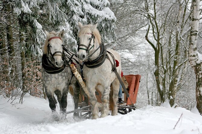 Zakopane & Sleigh Ride With Bonfire - Group Tour From Kraków - Additional Tour Resources and Recommendations