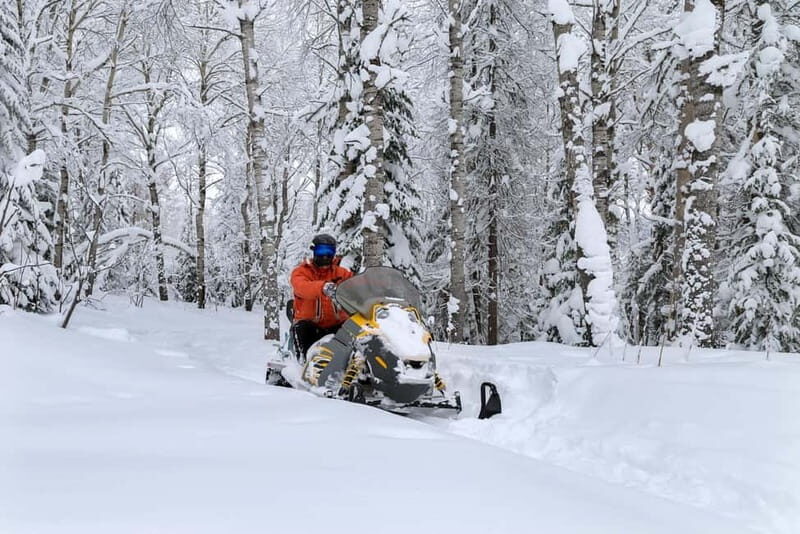Zakopane: Snowmobiles (or Quads), Thermal Pools & Tasting - Who Would Love This Tour?