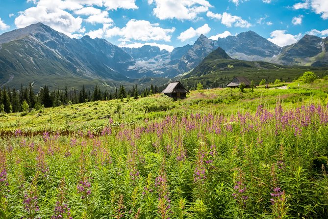 Zakopane & Tatra Mountains - Everyday Tour From Krakow - Experience Overview