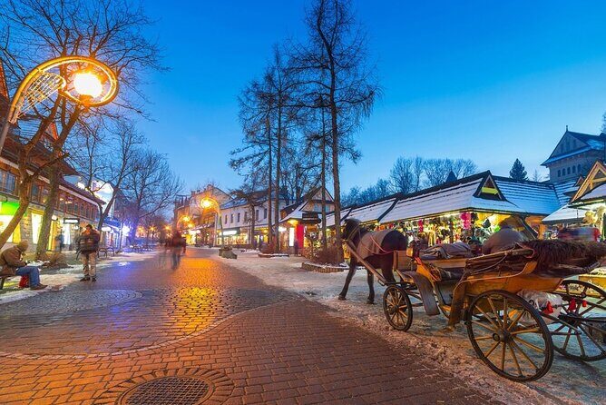 Zakopane & Thermal springs with private driver - FAQs