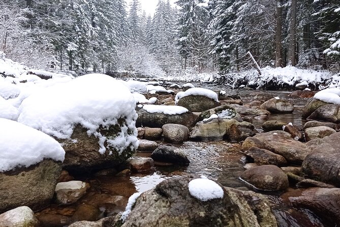 Zakopane Tour With Private Transport From Krakow - Tour Schedule
