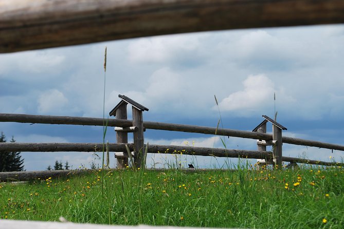 Zakopane Tour With Private Transport From Krakow - Booking Information