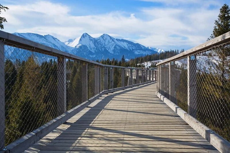 Zakopane: Treetop Walk & Niedzica Castle Private Tour - An In-Depth Look at This Day Trip  