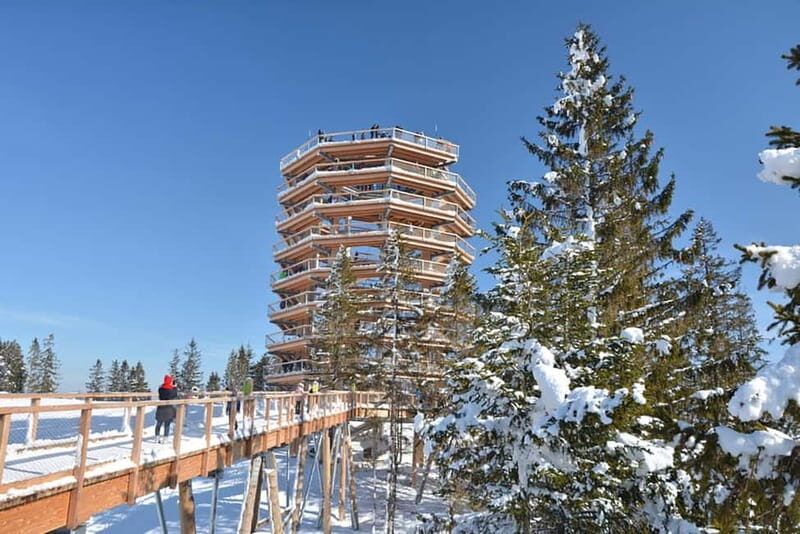 Zakopane: Treetop Walk & Niedzica Castle Private Tour - Final Thoughts  
