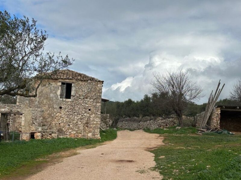 Zakynthos 4x4 Sunset Safari - Itinerary Details