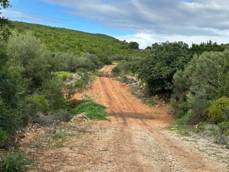 Zakynthos 4x4 Sunset Safari - Suitability and Recommendations