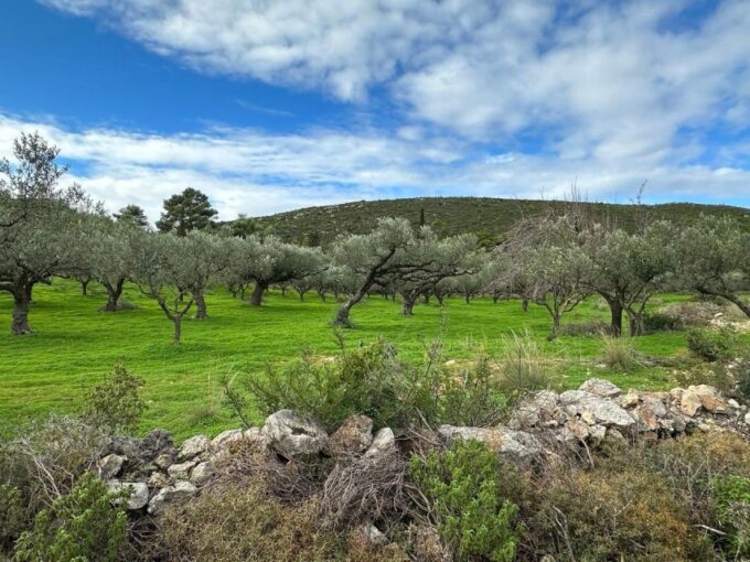 Zakynthos 4x4 Sunset Safari - Additional Information