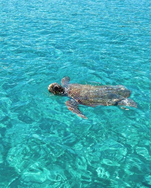 Zakynthos: Boat Rental - What to Expect and Why It Matters