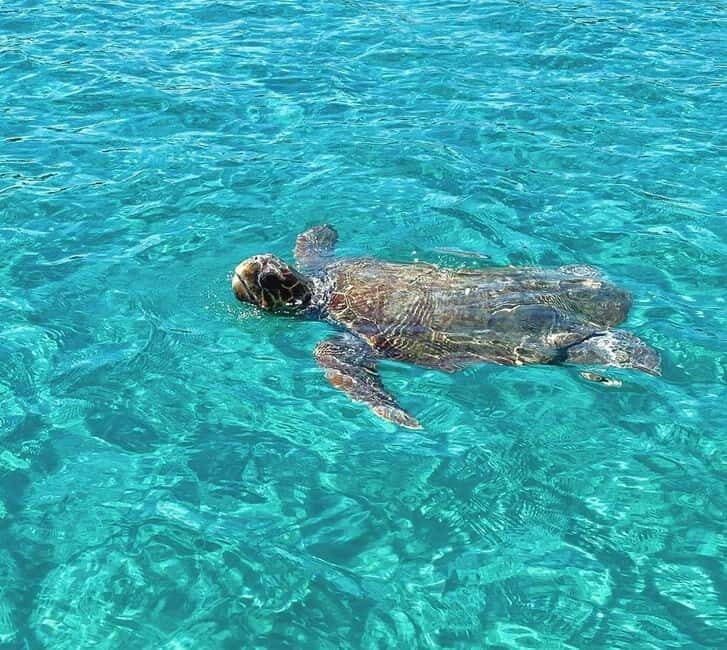 Zakynthos: Private Boat Tour with Captain - Key Points
