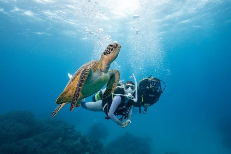 Zakynthos: Scuba Diving Experience with Underwater Photos - Key Points