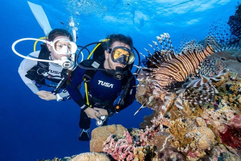 Zakynthos: Scuba Diving Experience with Underwater Photos - An In-Depth Look at the Zakynthos Scuba Diving Tour