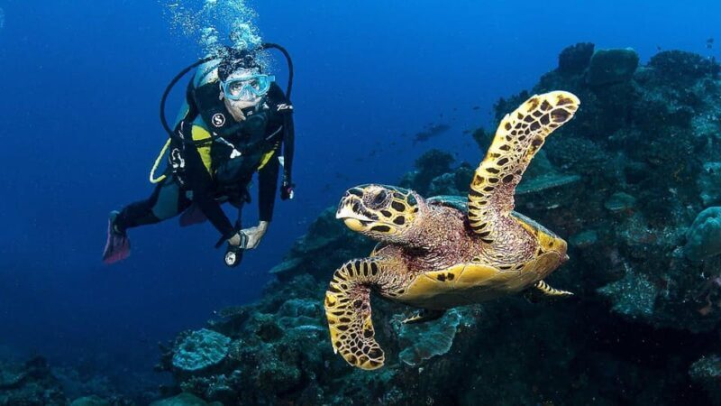 Zakynthos: Scuba Diving Experience with Underwater Photos - Final Words