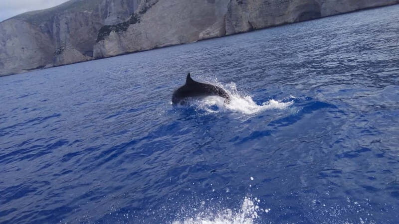 Zakynthos: Shipwreck Beach, Viewpoint, Blue Caves Day Tour - The Sum Up: Is This Tour Worth It?