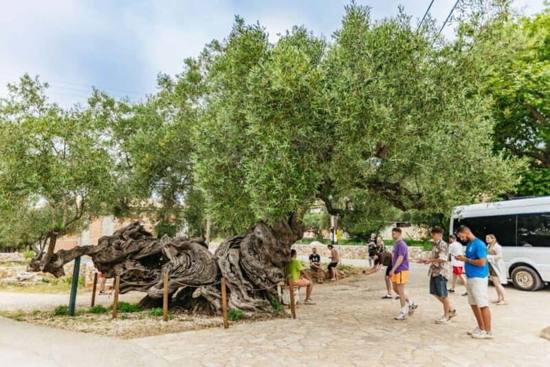 Zakynthos: Sunset Cruise to Mizithres and Agalas Cave - The Itinerary Breakdown