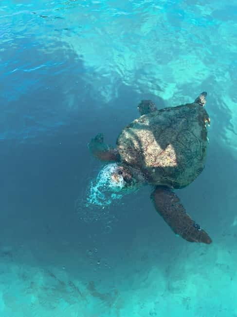 Zakynthos: Turtles, Marathonisi & Keri Caves Speedboat Tour - The Itinerary in Detail
