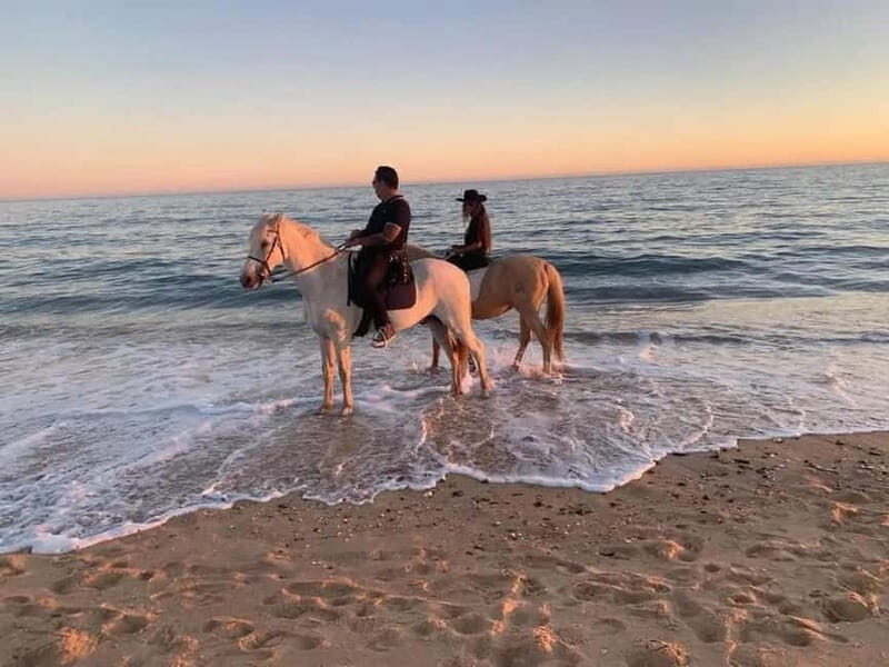 Zakynthos: Yotomu Horseback Riding Tour - Key Points