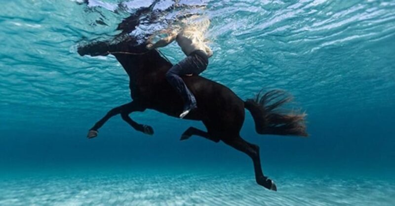 Zakynthos: Yotomu Horseback Riding Tour - Who Should Consider This Tour?