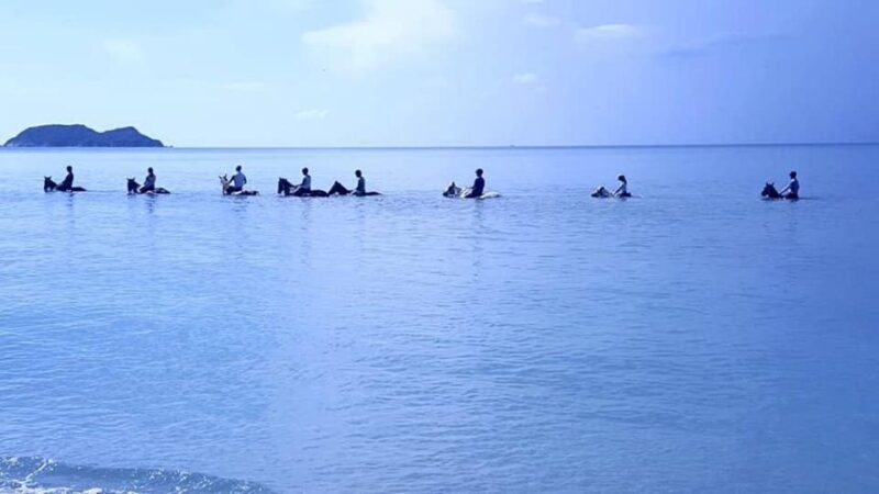 Zakynthos: Yotomu Horseback Riding Tour - FAQs