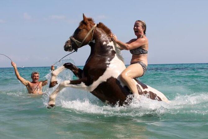 Zakytnhos Horse Riding Swimming Experience - Zakytnhos Horse Riding Swimming Experience: A Practical Guide for Adventurous Travelers