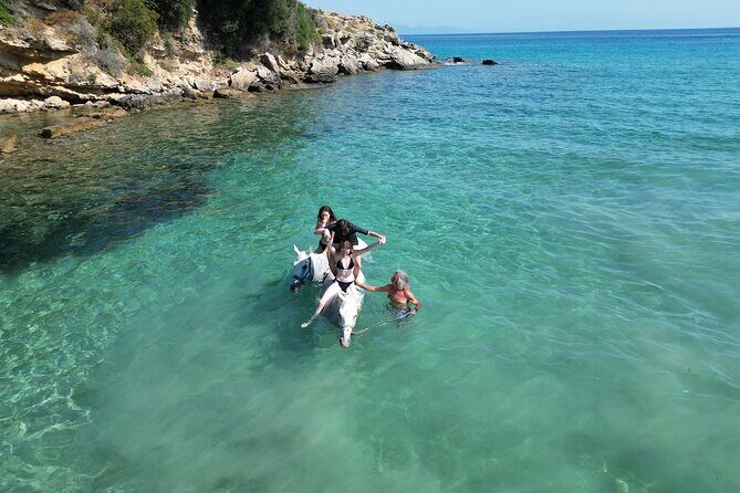 Zakytnhos Horse Riding Swimming Experience - Who Will Enjoy This Tour?