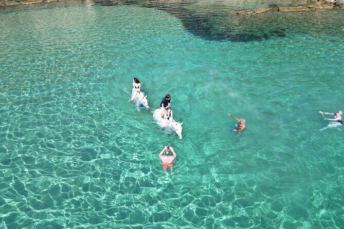 Zakytnhos Horse Riding Swimming Experience - FAQ