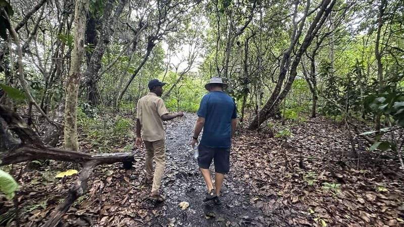 Zanzibar: Prison Island, Spice Farm Tour & Jozani with Lunch - Key Points