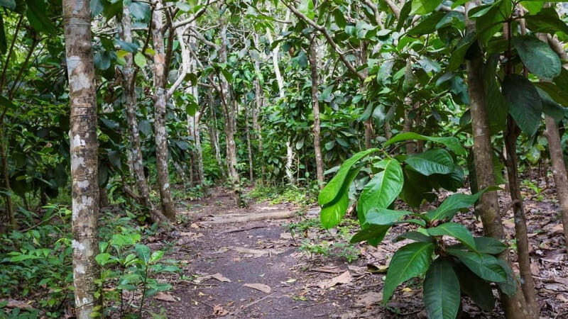 Zanzibar: Prison Island, Spice Farm Tour & Jozani with Lunch - Who Should Book This Tour?