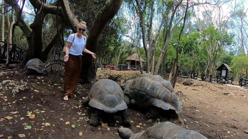 Zanzibar: Prison Island, Spice Farm Tour & Jozani with Lunch - The Sum Up: Is This Tour Worth It?