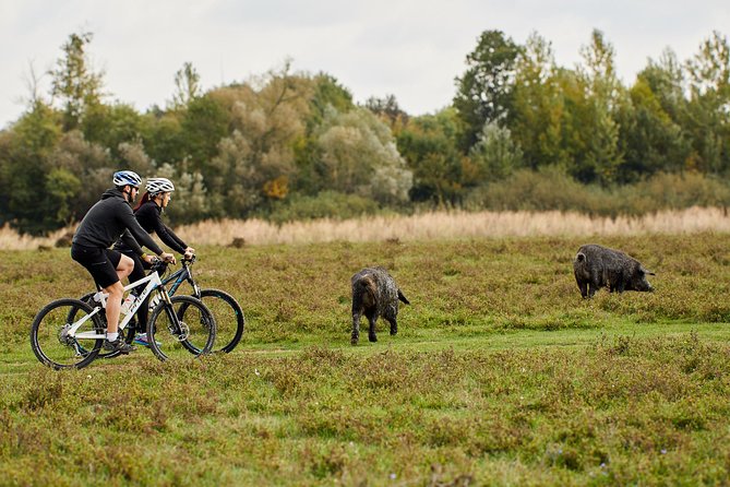 Zasavica Bike Tour - Key Points