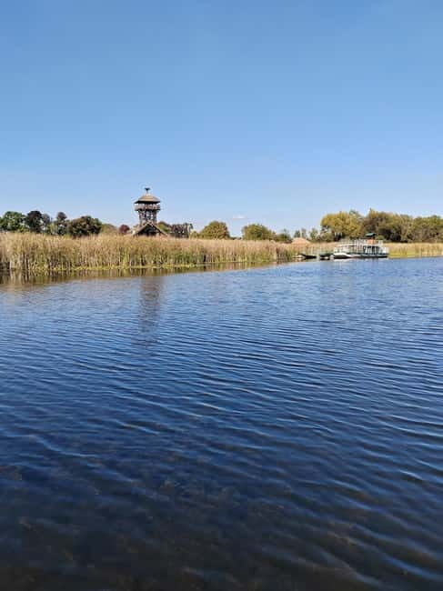 Zasavica Safari Tour - An In-Depth Look at the Zasavica Safari Tour