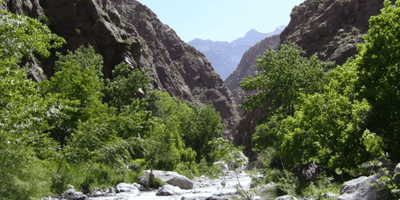 Zat Valley Excursion - Panoramic Views and Landscapes