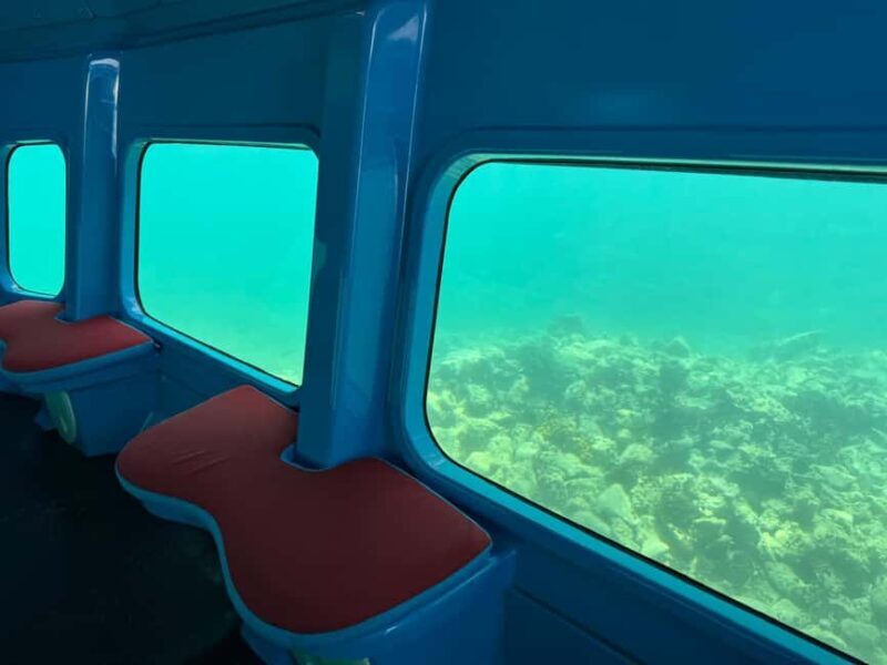 Zaton: Semi-Submarine Tour with Underwater Views - Who Will Love This Tour?