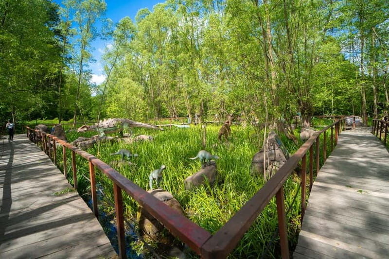 Zatorland Amusement Park: Entry Ticket - Key Points