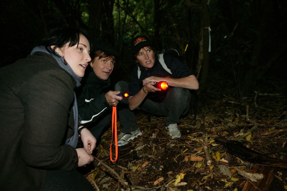 Zealandia by Night Tour - Booking Information