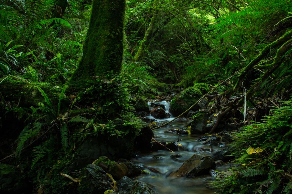 Zealandia by Night Tour - Additional Information