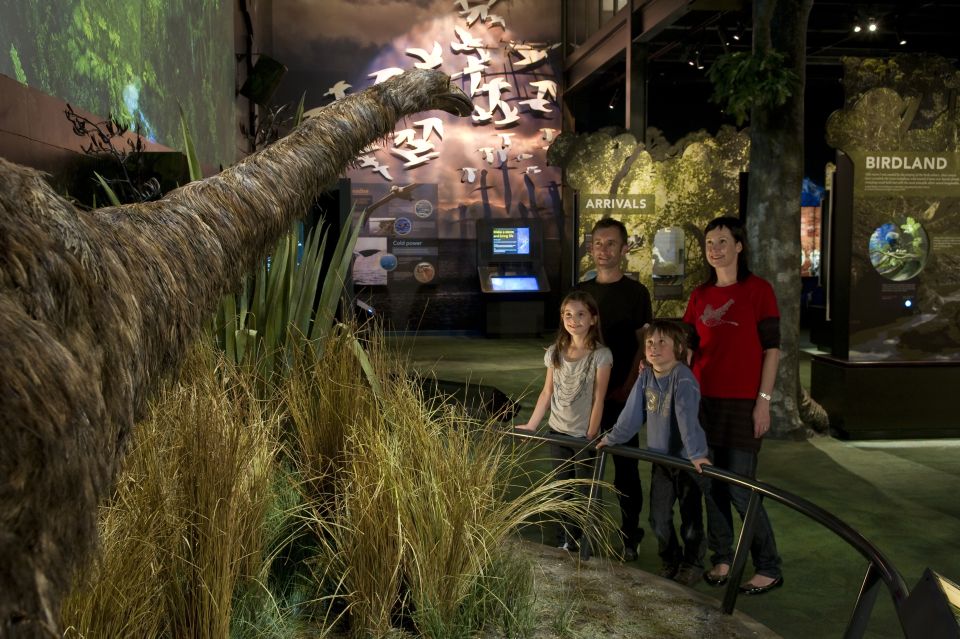 Zealandia Twilight Ecosanctuary Tour - Highlights
