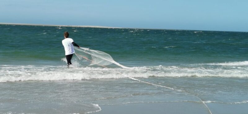 Zeeland Strand safari met visnet NL/DE - Key Points