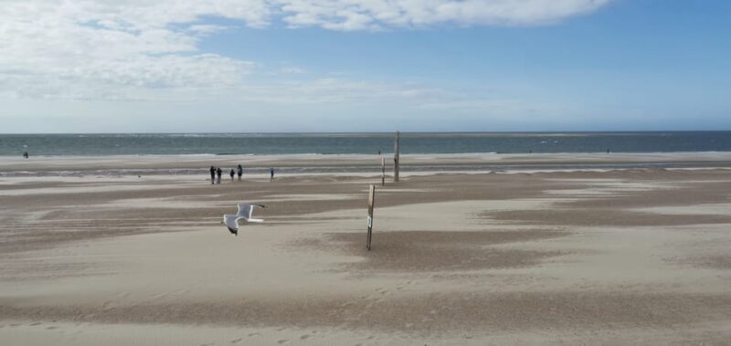 Zeeland Strand safari met visnet NL/DE - FAQ