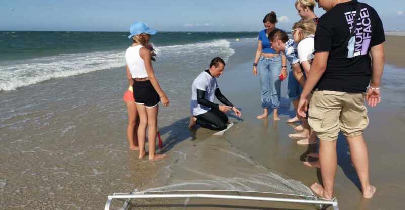 Zeeland Strand Safari Met Visnet Nl/En/De Private Tour - Good To Know
