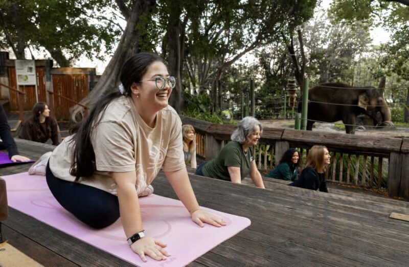 Zen In The Zoo - A Thoughtful Look at the Experience