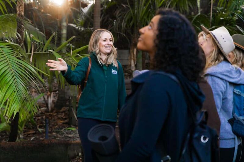 Zen In The Zoo - Authentic Perspectives from Past Participants