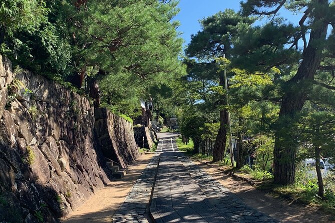 Zen Meditation and Higashiyama Temples Walking Tour - Exploring Higashiyama Temples