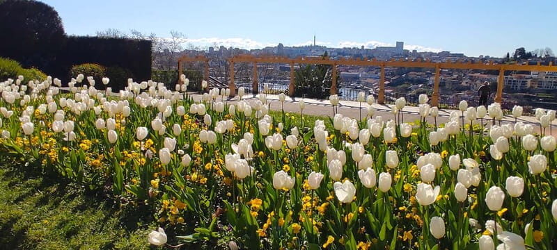 Zen Walking Tour Porto: Find Your Balance 2h - Practical Considerations: The Tour’s Logistics