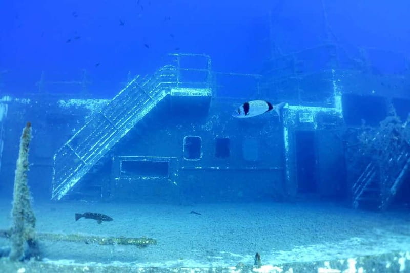 Zenobia Wreck: Private Guided Dive - What the Tour Includes and How It Works