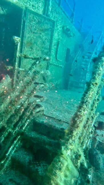Zenobia Wreck: Private Guided Dive - Diving Conditions and What to Expect